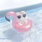 もね お休み頂きます💦 エピセレクション