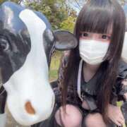 ヒメ日記 2025/08/13 05:11 投稿 にこり LEVEL1