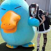 ヒメ日記 2025/09/22 21:41 投稿 にこり LEVEL1