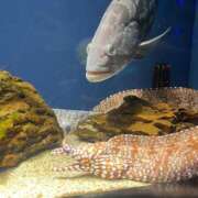 ヒメ日記 2025/11/19 05:11 投稿 にこり LEVEL1