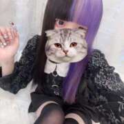 ヒメ日記 2026/02/03 23:11 投稿 にこり LEVEL1