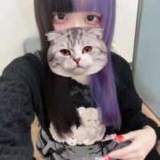 ヒメ日記 2026/02/20 00:01 投稿 にこり LEVEL1