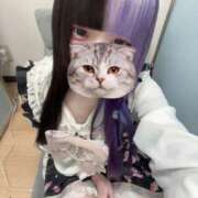 ヒメ日記 2026/03/08 23:11 投稿 にこり LEVEL1