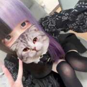 ヒメ日記 2026/03/11 23:31 投稿 にこり LEVEL1