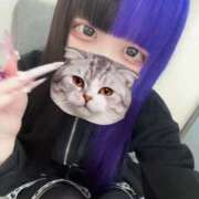 ヒメ日記 2026/03/12 20:01 投稿 にこり LEVEL1