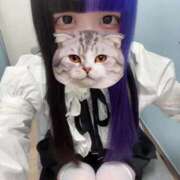 ヒメ日記 2026/03/27 22:21 投稿 にこり LEVEL1