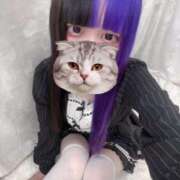 ヒメ日記 2026/04/06 22:23 投稿 にこり LEVEL1