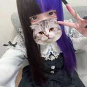 ヒメ日記 2026/04/14 00:04 投稿 にこり LEVEL1