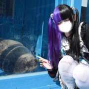 ヒメ日記 2026/05/14 01:53 投稿 にこり LEVEL1