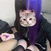 ヒメ日記 2026/05/15 00:01 投稿 にこり LEVEL1
