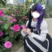 ヒメ日記 2026/06/05 16:01 投稿 にこり LEVEL1