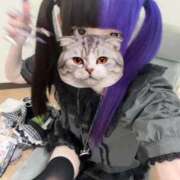 ヒメ日記 2026/06/11 23:41 投稿 にこり LEVEL1