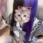 ヒメ日記 2026/09/09 19:33 投稿 にこり LEVEL1