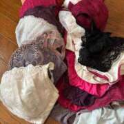 ヒメ日記 2025/12/01 11:52 投稿 楓ゆい しこたま奥様 横浜店