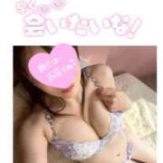 ヒメ日記 2026/04/11 09:02 投稿 楓ゆい しこたま奥様 横浜店