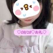 ヒメ日記 2025/08/19 11:44 投稿 れおな 秋葉原ハンドメイド