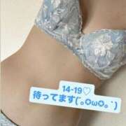 ヒメ日記 2025/12/09 12:46 投稿 れおな 秋葉原ハンドメイド