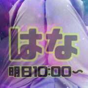 ヒメ日記 2025/09/14 17:04 投稿 はな～マット＆M性感～ アメイジングビル～道後最大級！遊び方無限大∞ヘルス♪～