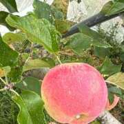 ヒメ日記 2025/10/10 21:47 投稿 はな～マット＆M性感～ アメイジングビル～道後最大級！遊び方無限大∞ヘルス♪～