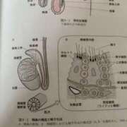 ヒメ日記 2025/11/17 09:45 投稿 はな～マット＆M性感～ アメイジングビル～道後最大級！遊び方無限大∞ヘルス♪～