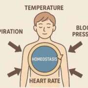ヒメ日記 2025/12/14 10:47 投稿 はな～マット＆M性感～ アメイジングビル～道後最大級！遊び方無限大∞ヘルス♪～