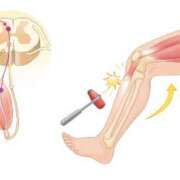 ヒメ日記 2025/12/24 23:57 投稿 はな～マット＆M性感～ アメイジングビル～道後最大級！遊び方無限大∞ヘルス♪～