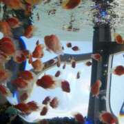 ヒメ日記 2025/08/16 18:14 投稿 水沢遥 五十路マダム静岡店（カサブランカG）