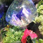 ヒメ日記 2025/08/19 13:44 投稿 水沢遥 五十路マダム静岡店（カサブランカG）