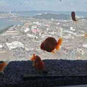 ヒメ日記 2025/08/22 12:10 投稿 水沢遥 五十路マダム静岡店（カサブランカG）