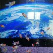 ヒメ日記 2025/08/24 11:28 投稿 水沢遥 五十路マダム静岡店（カサブランカG）