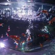 ヒメ日記 2025/09/19 15:12 投稿 水沢遥 五十路マダム静岡店（カサブランカG）