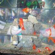 ヒメ日記 2025/09/21 09:46 投稿 水沢遥 五十路マダム静岡店（カサブランカG）