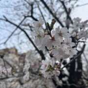 ヒメ日記 2026/04/06 22:23 投稿 蘭花/らんか ANEJE～アネージュ池袋～(ユメオト)