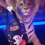 ヒメ日記 2025/10/03 17:55 投稿 ゆず Number Five 品川（シンデレラグループ）