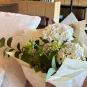 ヒメ日記 2025/11/18 09:52 投稿 ゆず Number Five 品川（シンデレラグループ）