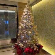 ヒメ日記 2025/12/12 17:12 投稿 ゆず Number Five 品川（シンデレラグループ）