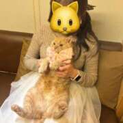 ヒメ日記 2026/02/12 19:24 投稿 ゆず Number Five 品川（シンデレラグループ）