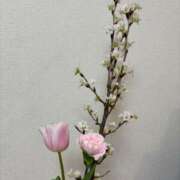 ヒメ日記 2026/02/24 23:47 投稿 ゆず Number Five 品川（シンデレラグループ）