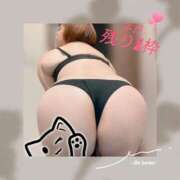 ヒメ日記 2025/09/03 16:24 投稿 光浦 熟女の風俗最終章 横浜本店