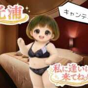 ヒメ日記 2026/01/06 14:34 投稿 光浦 熟女の風俗最終章 横浜本店