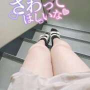 ヒメ日記 2025/09/28 14:40 投稿 れむ 谷町人妻熟女奉仕倶楽部