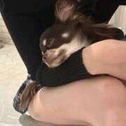 ヒメ日記 2025/11/20 20:57 投稿 さや 東京リップ 渋谷店