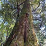 ヒメ日記 2025/08/31 13:15 投稿 目黒　あかり 30・40・50代☆人妻熟女コレクション