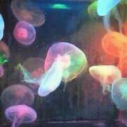 ヒメ日記 2025/09/14 15:43 投稿 目黒　あかり 30・40・50代☆人妻熟女コレクション