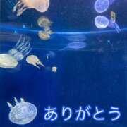 ヒメ日記 2025/10/19 19:22 投稿 目黒　あかり 30・40・50代☆人妻熟女コレクション