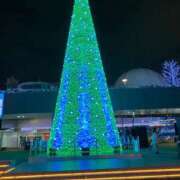 ヒメ日記 2025/12/25 16:29 投稿 目黒　あかり 30・40・50代☆人妻熟女コレクション