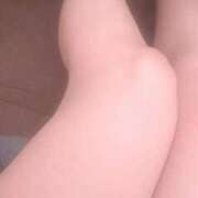 みな 猫カフェ セレブクエスト－Iwaki－