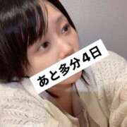 ヒメ日記 2025/08/11 23:46 投稿 村瀬あいり 五反田マーマレード(ユメオト)