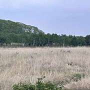 ヒメ日記 2025/10/02 22:06 投稿 No.4267 ダンベル 札幌ダイナマイト