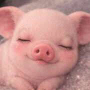 ヒメ日記 2026/03/15 01:21 投稿 No.4267 ダンベル 札幌ダイナマイト